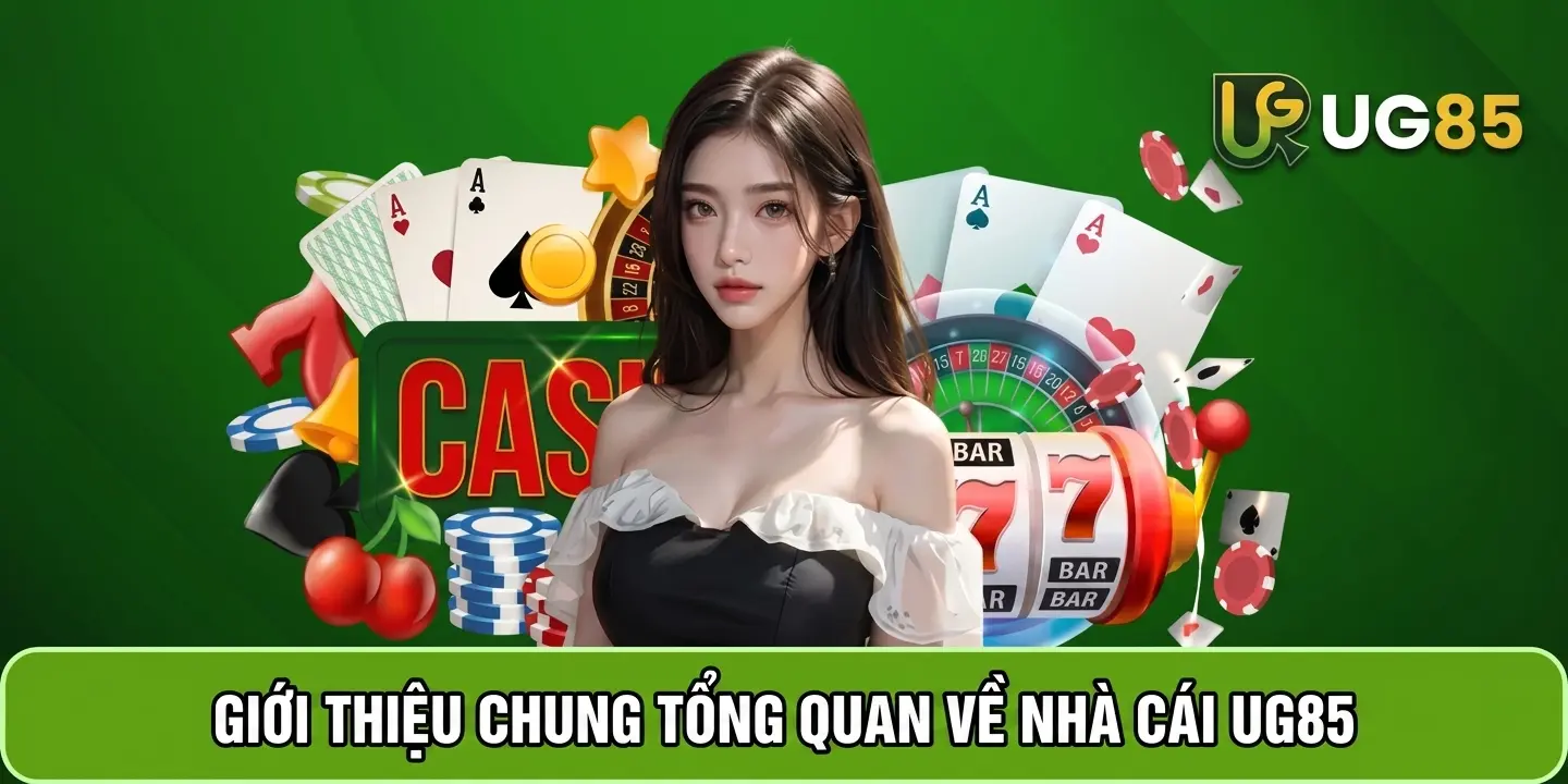 Tổng quan về TT24H