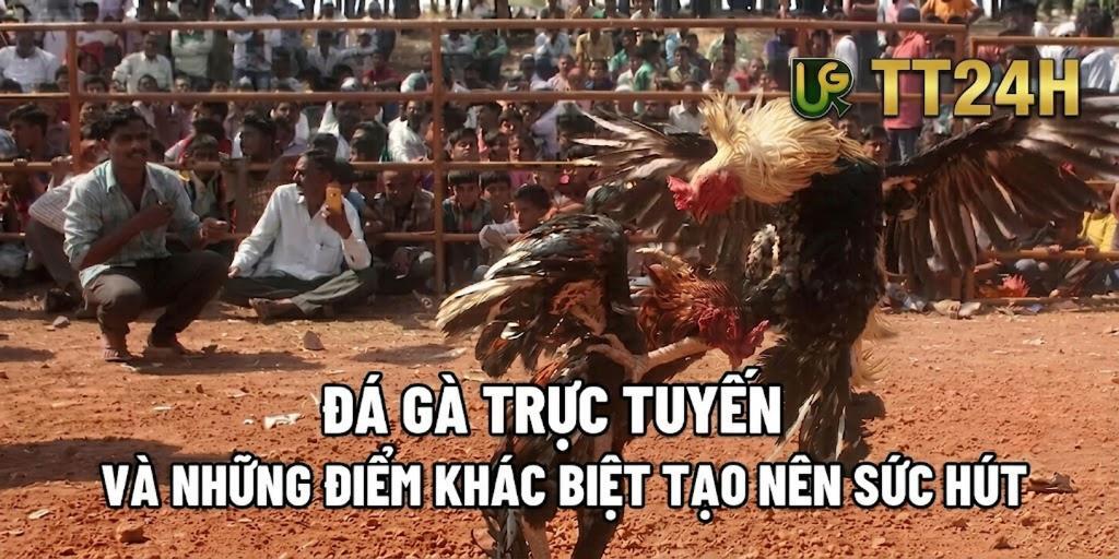 ĐÁ GÀ TRỰC TUYẾN VÀ NHỮNG ĐIỂM KHÁC BIỆT TẠO NÊN SỨC HÚT