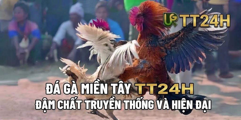 ĐÁ GÀ MIỀN TÂY UG345 - ĐẬM CHẤT TRUYỀN THỐNG VÀ HIỆN ĐẠI