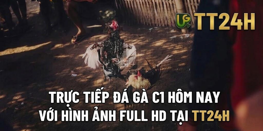 TRỰC TIẾP ĐÁ GÀ C1 HÔM NAY VỚI HÌNH ẢNH FULL HD TẠI UG345